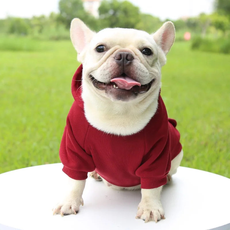 SnugPup Pro