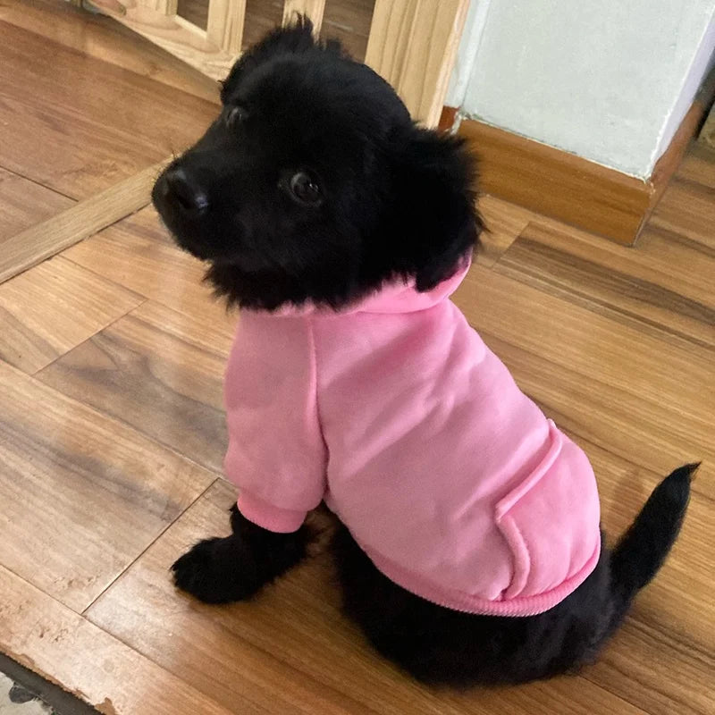 SnugPup Pro
