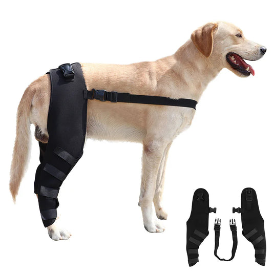 PawFlex Pro